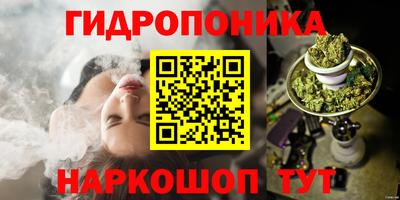 mix Кингисепп