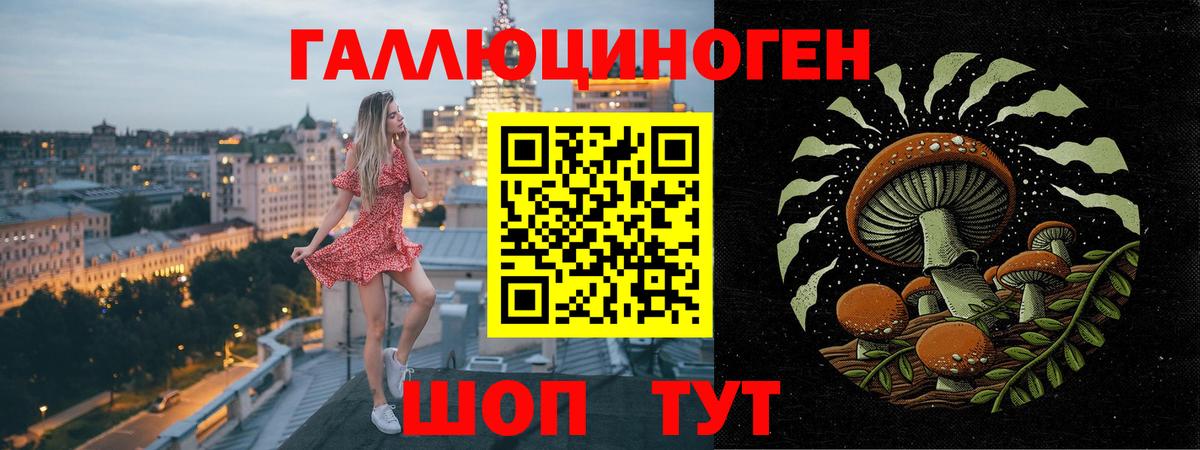Галлюциногенные грибы Psilocybe  Вход с VPN  Котлас 